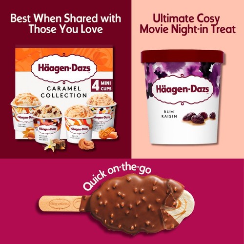 Haagen Dazs Rum Raisin Ice Cream