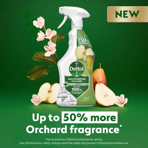 Dettol Multipurpose Spray Orchard Fresh 750ml