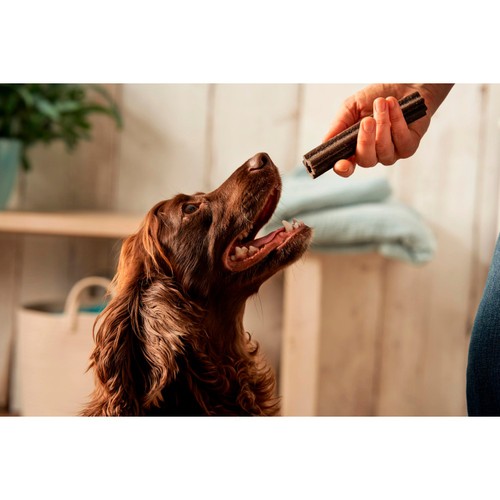 Forthglade Dog Dental Calming Sticks 