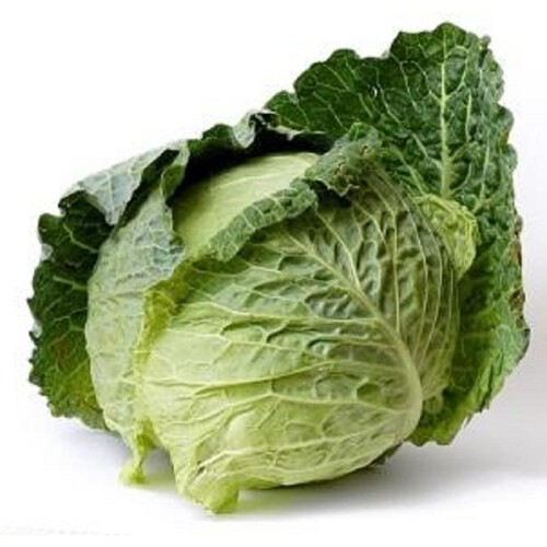 Morrisons Savoy Cabbage