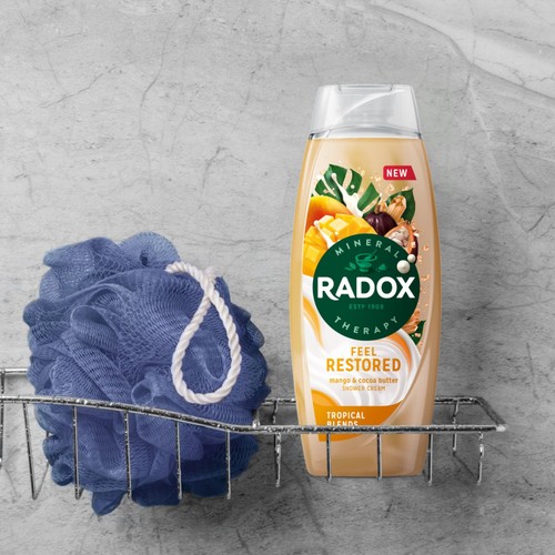 Radox Shower Gel Feel Restored 450ml
