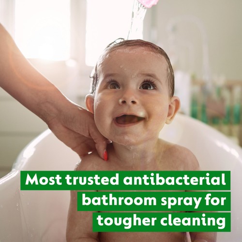 Dettol Bathroom Cleaner