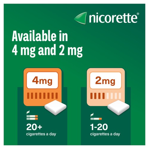 Nicorette Fruitfusion Gum 4mg 105s