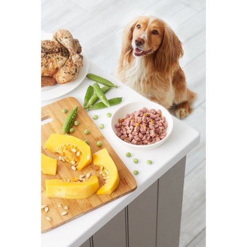 Freshpet Small Dog Grilled Chicken & Turkey With Pumpkin & Peas 
