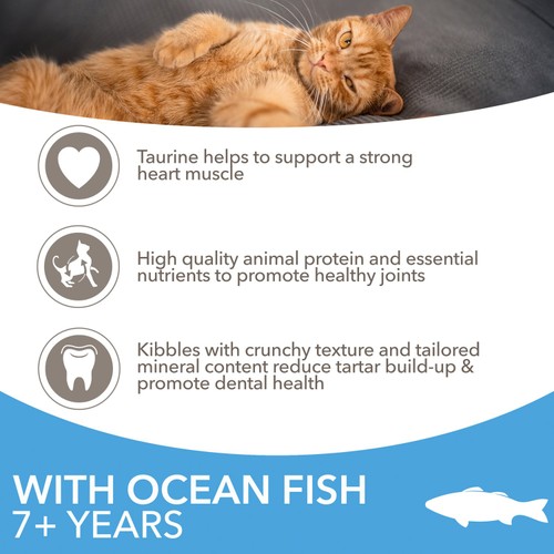 Iams Dry Cat Ocean Fish Senior