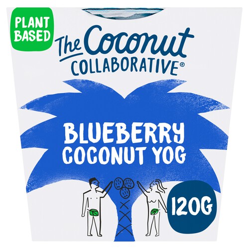 The Coconut Collaborative Blueberry Yogurt