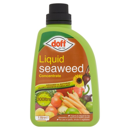 Doff Liquid Seaweed Concentrate   1L