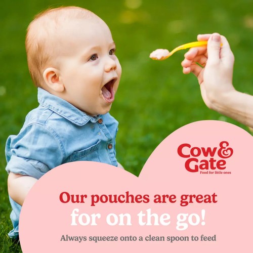 Cow&Gate Fruit Pouch Banana,Apple,Strawberry & Kiwi Baby Food 6+Months