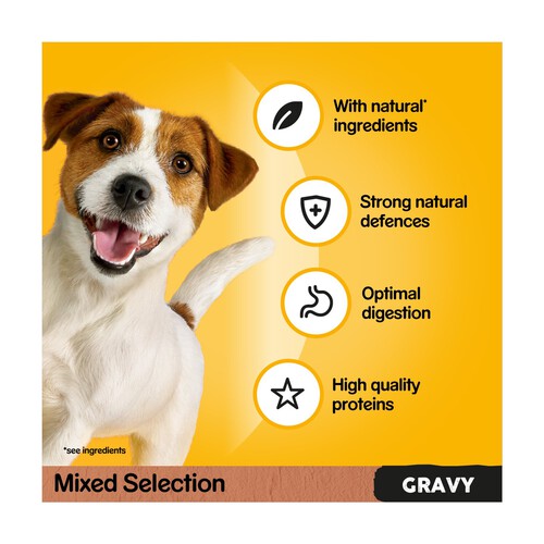 Pedigree Adult Wet Dog Food Pouches Farmers Selection in Gravy