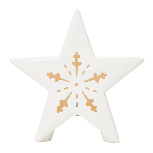 Nutmeg Home Led Star