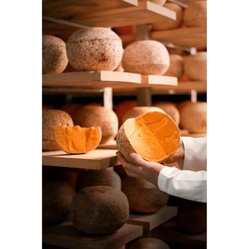 Mimolette 12 Months 