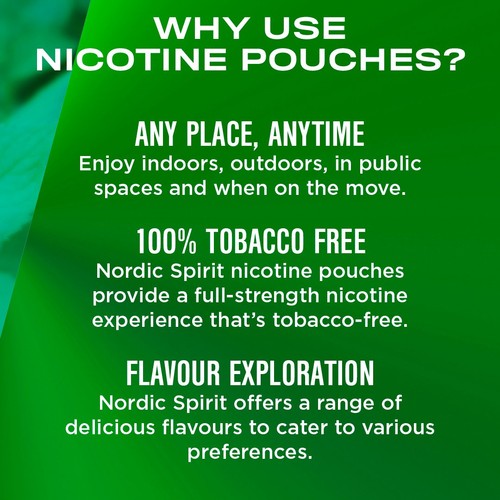 Nordic Spirit Sweet Mint Extra Strong 11mg Nicotine Pouches