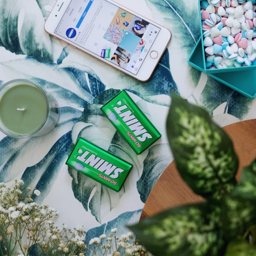 Smint Spearmint Sugar Free Mints Tin