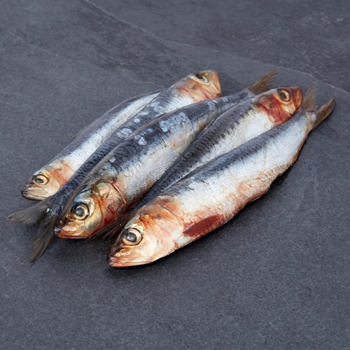 Cornish Sardines