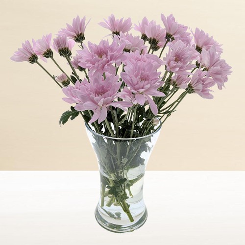 Morrisons Chrysanthemum Bouquet