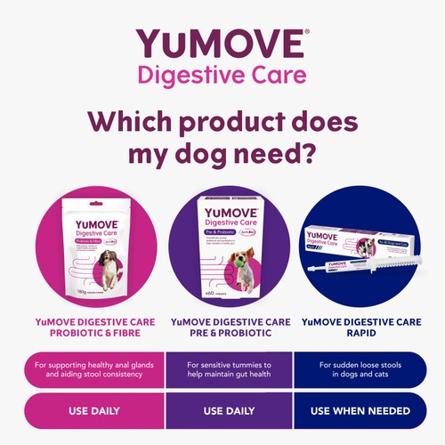 Yumove Digestive Care Rapid Paste For Cats And Dogs 30ml