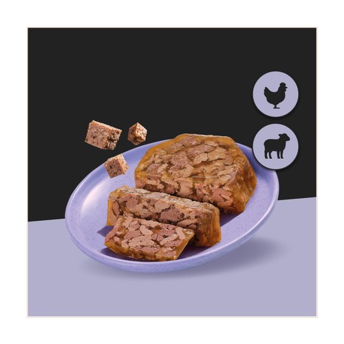Cesar Classics Terrine Dog Food Tray Lamb & Chicken in Jelly