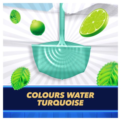 Duck Colouring Rimblock Mint 36g