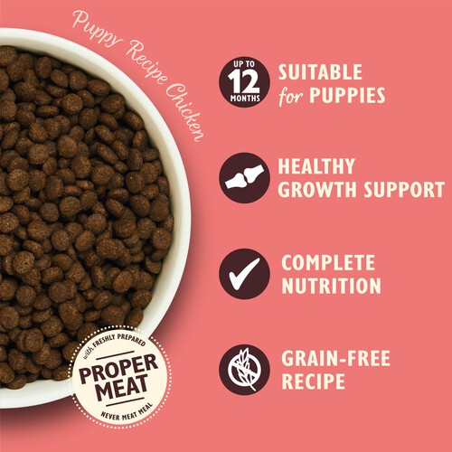 Lily's Kitchen Chicken & Salmon Dry Puppy Food