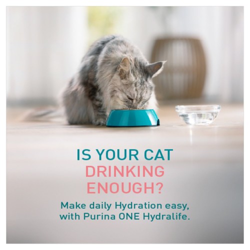 PURINA ONE HYDRALIFE with Salmon Liquid Cat Supplement 6x50g