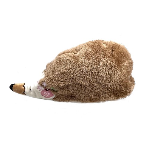 Nutmeg Hedgehog Pencil Case