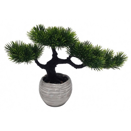 Home Style Bonsai Tree Medium