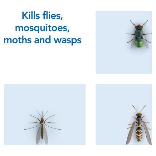Raid Fly & Wasp Killer