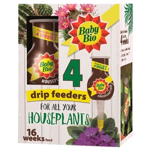 giant leopard plant Leopard Plant – Liberty Landscape Supply main image 1
