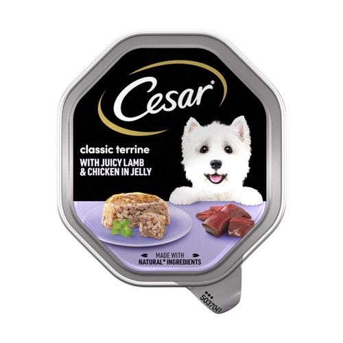 Cesar Classics Terrine Dog Food Tray Lamb & Chicken in Jelly