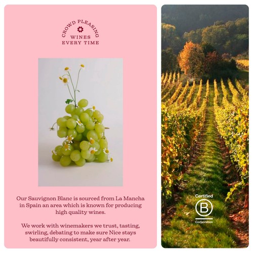 Nice Sauvignon Blanc Wine 