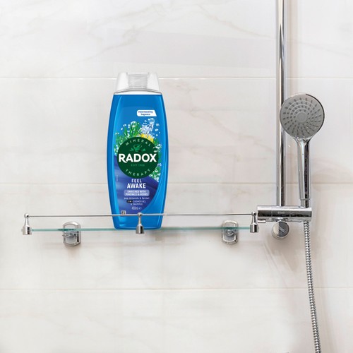 Radox Shower Gel Feel Awake  450ml