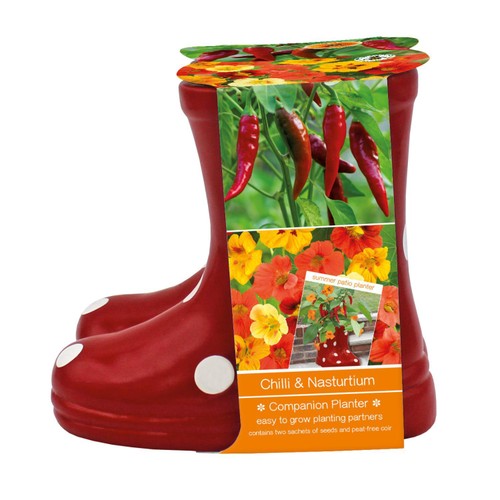 Bee Friends Companion Welly Boot Chilli
