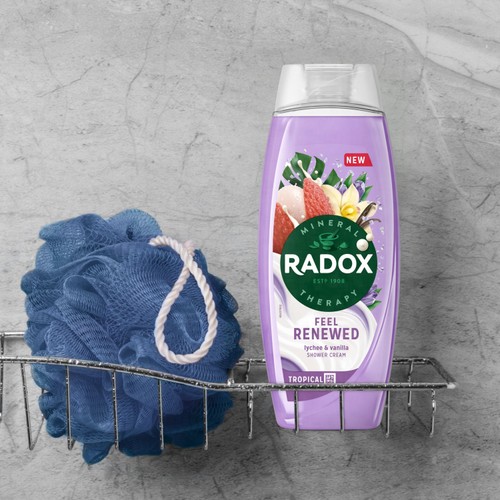 Radox Shower Gel Feel Renewed 450ml