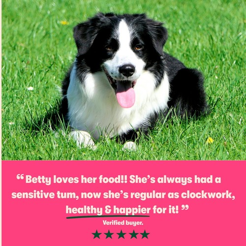 Harringtons Grain Free Superfoods Dry Dog Food In Salmon