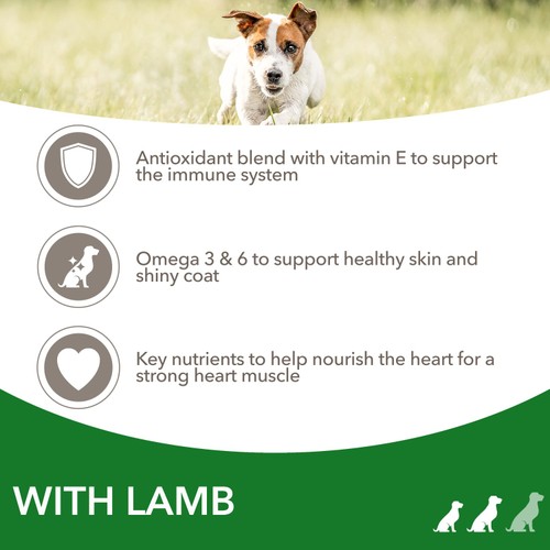 Iams Dry With Lamb For Small To Medium Dogs 