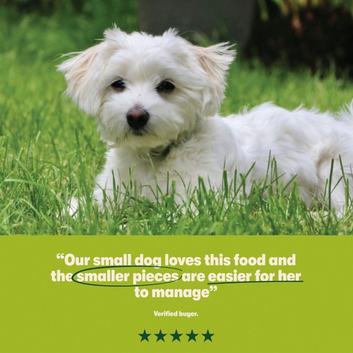 Harringtons Small Dog Turkey