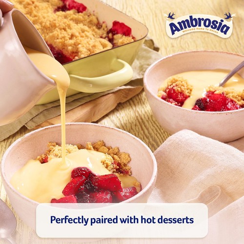 Ambrosia Devon Custard Dessert Can 400g