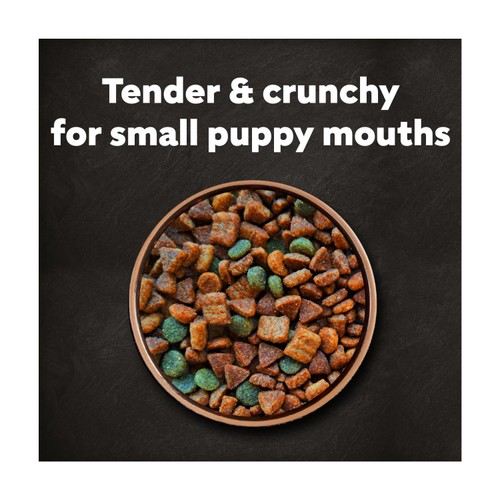 Cesar Dog Complete Dry Puppy With Chicken, Rice And Vegatables 1.4Kg