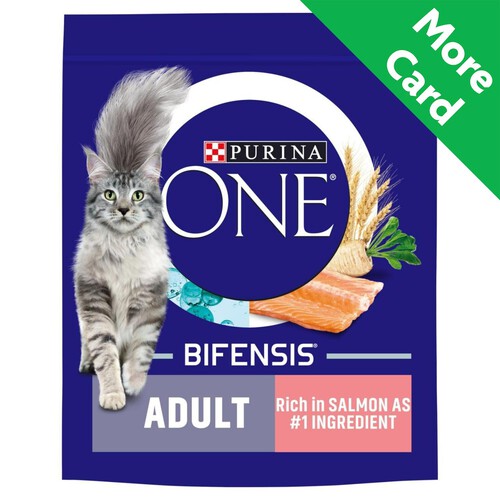 Purina ONE Adult Dry Cat Food Rich in Salmon 800g