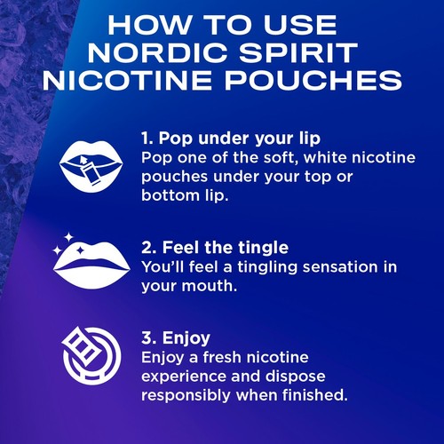 Nordic Spirit Frosty Berry Extra Strong 11mg Nicotine Pouches
