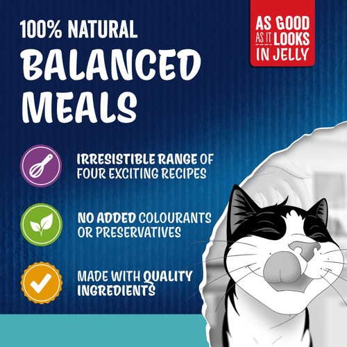FELIX As Good As it Looks Ocean Feasts in Jelly Wet Cat Food 40x85g