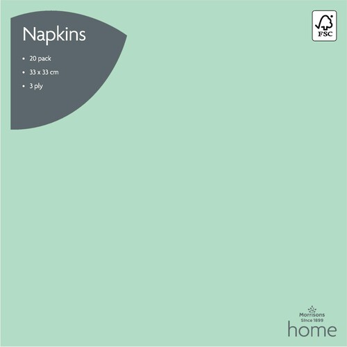 Nutmeg Home Mint Green Napkins