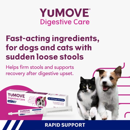 Yumove Digestive Care Rapid Paste For Cats And Dogs 30ml