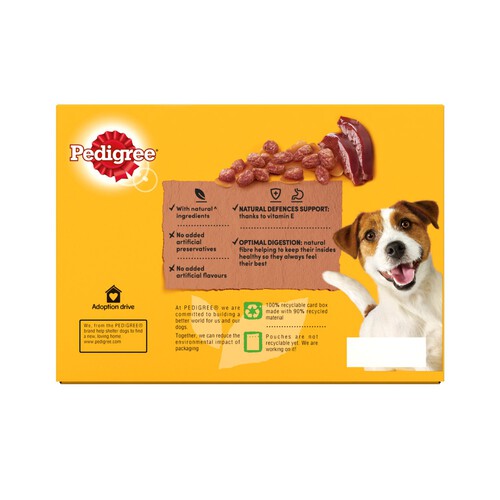 Pedigree Adult Wet Dog Food Pouches Mixed in Gravy 