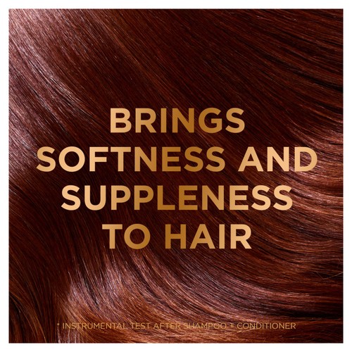 Garnier Ultimate Blends Argan Richness Shampoo 