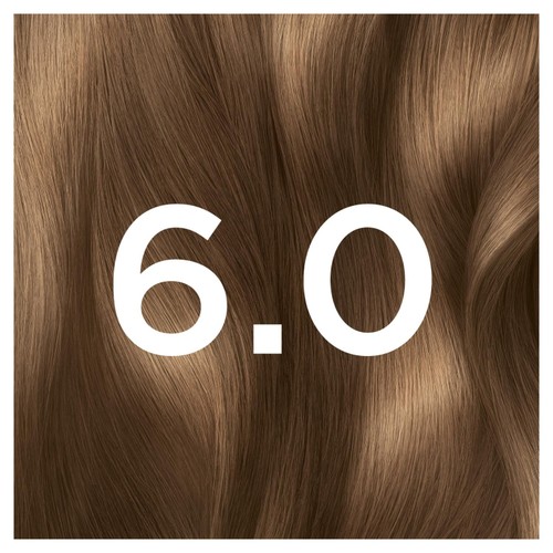 Garnier Olia 6.0 Light Brown                      