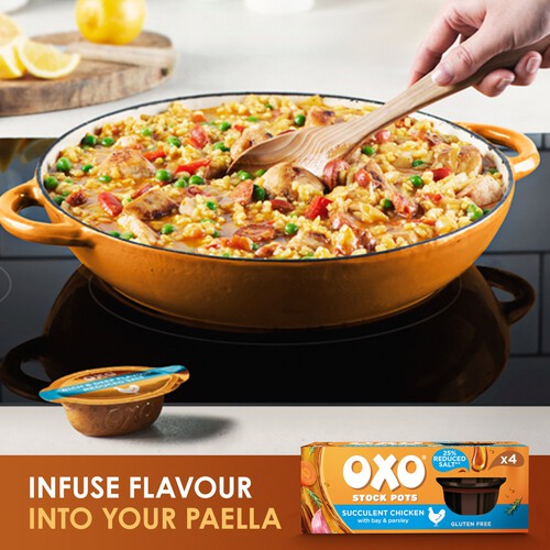 Oxo Stock Pots Succulent Chicken 