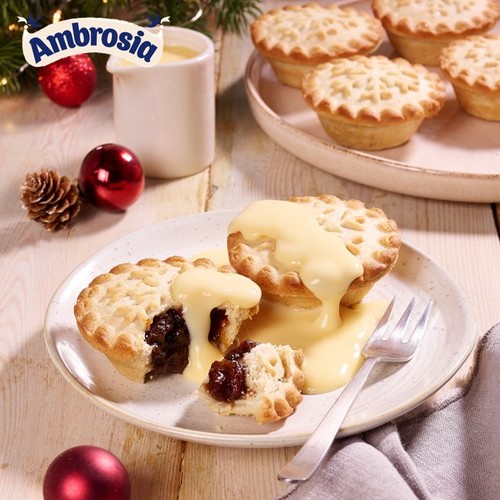 Ambrosia Devon Custard Dessert Carton 500g
