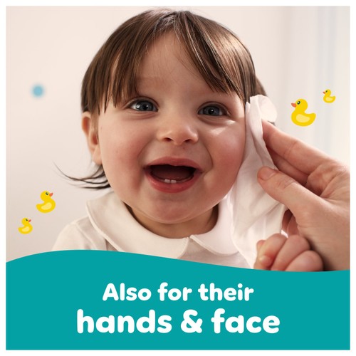 Pampers Fresh Clean Baby Wipes 12 x 52 Pack