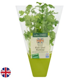 Morrisons Living Flat Leaf Parsley